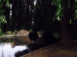 The flow of the soul