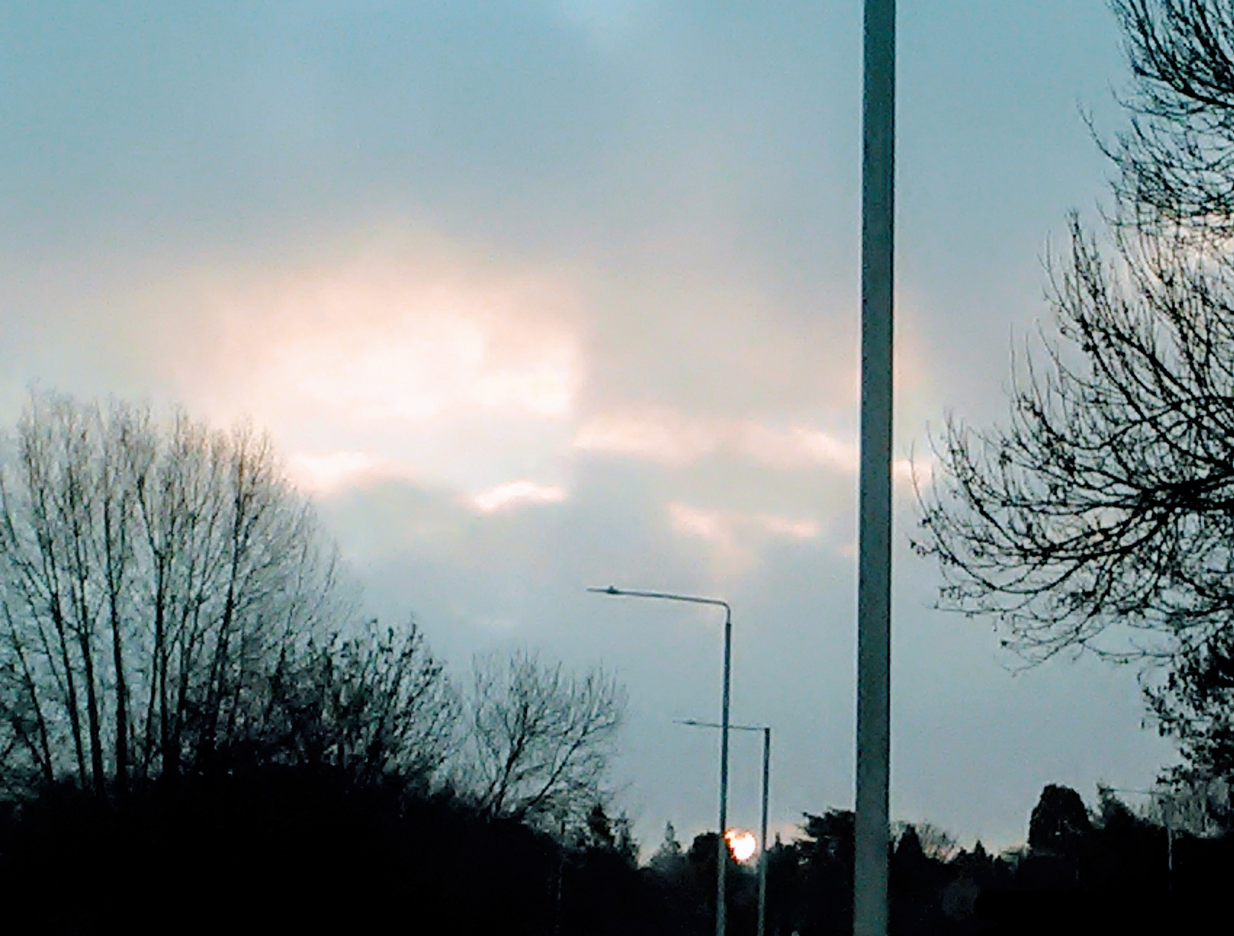 IMG_20181117_075307~2